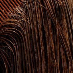 $125 for $100 Holiday Deal 